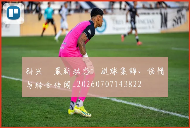孙兴慜最新动态:进球集锦、伤情与转会传闻_20260707143822